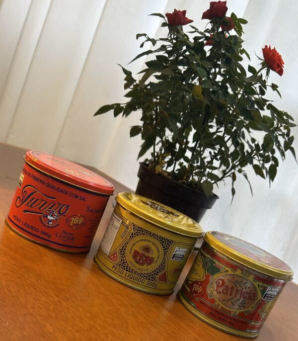 Kit 3 Manteigas 500g (Real + Turvo + Patricia) - Imagem 9